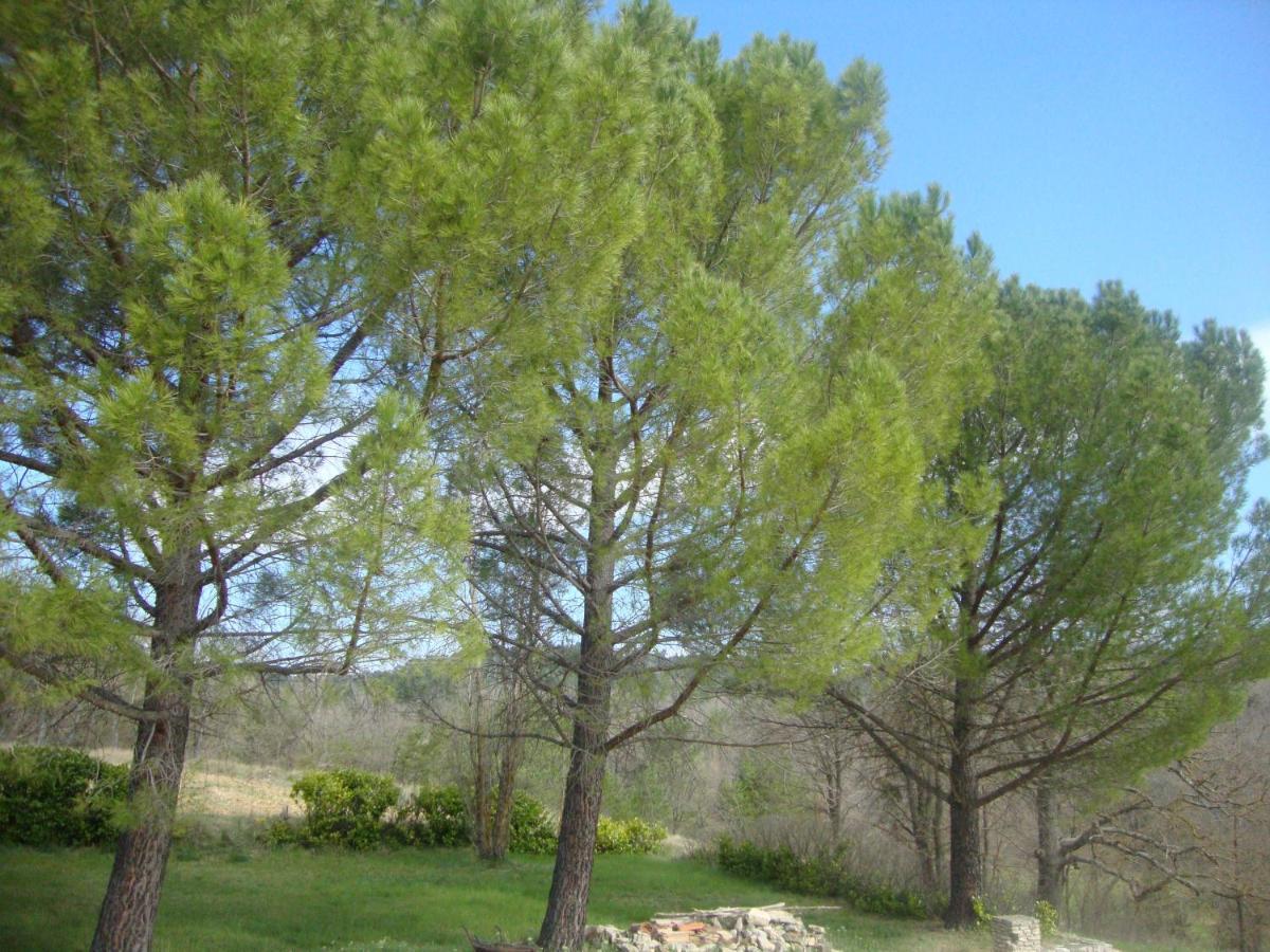 La Croix Du Sud - Ocres En Provence Villa Apt Bagian luar foto
